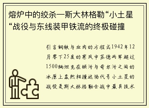 熔炉中的绞杀—斯大林格勒“小土星“战役与东线装甲铁流的终极碰撞